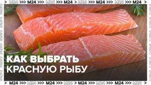 Эксперты рассказали, как выбрать качественную красную рыбу - Москва 24