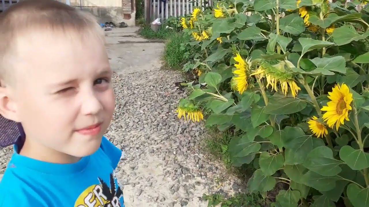 272/СХОДИЛИ В ПАРИКМАХЕРСКУЮ//ПРИВЕЗЛИ ДРОВА//ВОЗИМ ГЛИНУ ОТ СОСЕДКИ