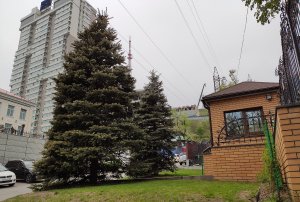 Гоголя. Владивосток