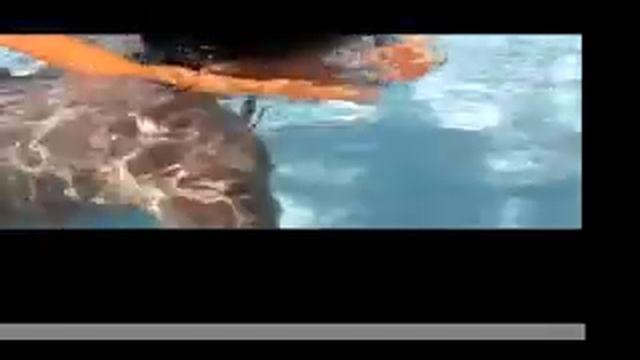 amazing little swimmer смотреть онлайн