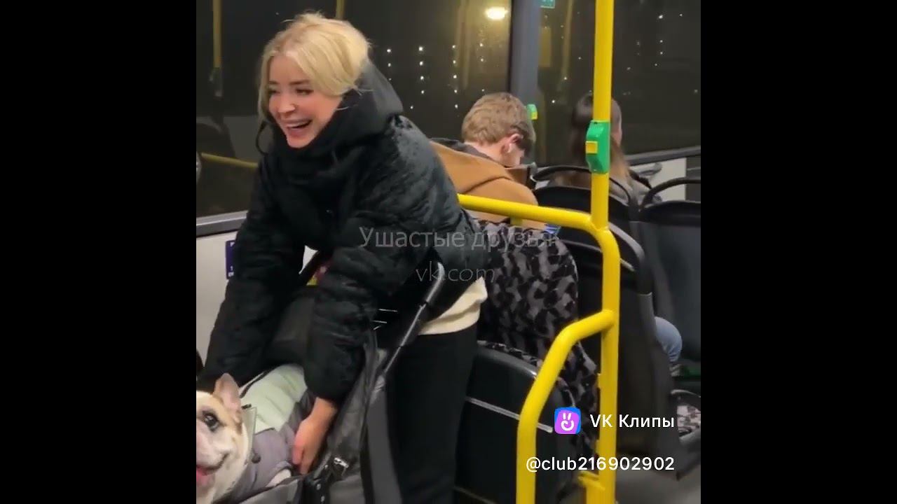 Поющая Собака