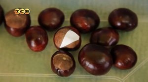 Осенние игры для малышей. Часть 1