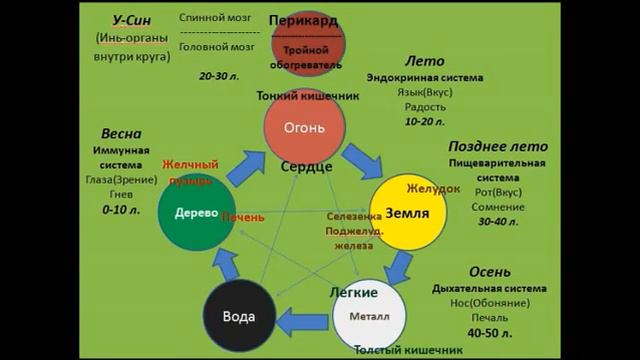Усин - Что такое Карта Здоровья?