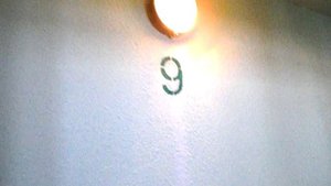 Электрический лифт (г. Мытищи) V=1 м-с, г-п 320 кг (5)