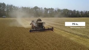 Высокие показатели комбайна RSM 161 от Ростсельмаш на уборке озимой пшеницы