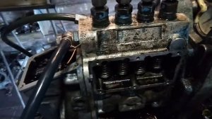 Видио 2 часть про тнвд  утн 5