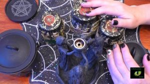 Нельзя называть животных именами людей Светлана ВЕДА