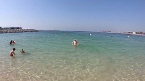 В ВОДАХ ПЕРСИДСКОГО ЗАЛИВА ЗАМЕЧЕНА АКУЛА МАСЛАКОВА