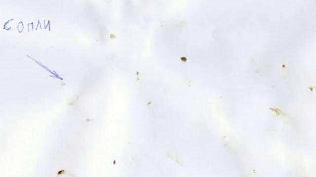 Рэп про соплю (rap about the nozzle)!!! смотреть онлайн