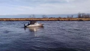 Orionboat 49 fish
