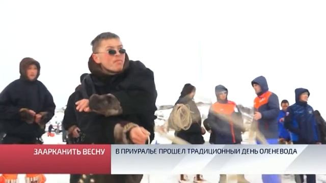 В Приуралье прошёл традиционный день оленевода