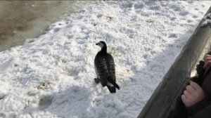 Настя и Тема в зоопарке