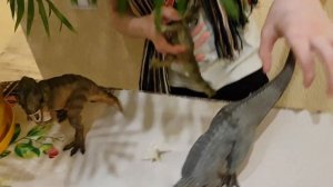 Обзор фигурки индоминуса рекса (Nanmu Studio, 2018)