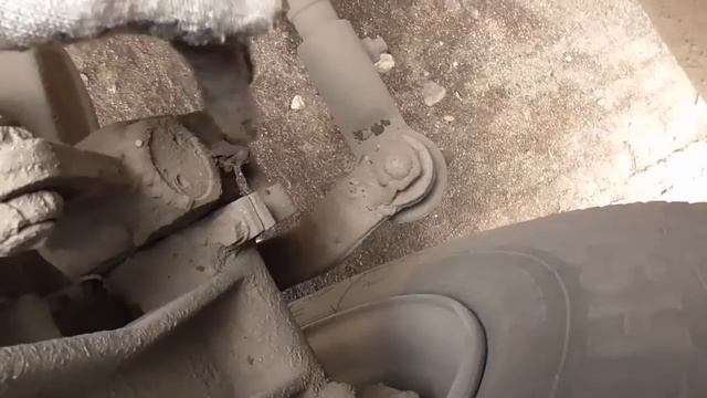 25 мест шприцевания Зубренок