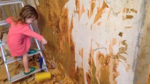 Василиса мочит и отрывает обои