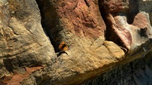 Краснодарский край, Новомихайловка.