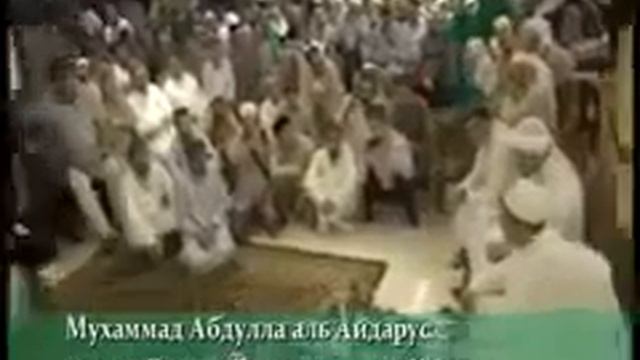 Имам мечети в г.Мекка потомок Пророка ﷺ аль-Айдарус о Дагестанцах смотреть онлайн