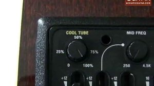 Acoustic Guitar Review - Takamine LTD 2009