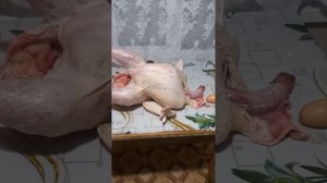 Забой индейки. Возраст -  ровно 4 месяца.