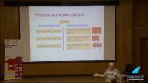 Типы мышечных волокон