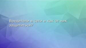 Что такое холд статус в криптовалюте призм? Как его включить и зачем он нужен? HOLD STATUS PRIZM