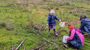Грибы ,как  альвина и софия собирают  грибы в лесу, Развлечения для детей