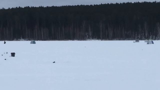 Прогноз клева рыбы на эту неделю с 1 по 15 Февраля Календарь рыбака на Февраль Прогноз клева рыбы
