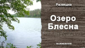 Озеро Блесна. Подводная охота в Ленинградской области. Гидрокостюмы HAMMERFISH