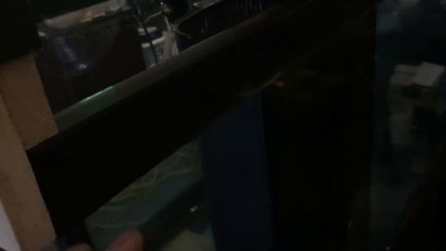 125 Gallon Reef Tank - Shadow Box Background Build - The “Haze” Effect смотреть онлайн