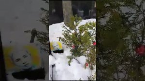 Олег Яковлев..Не плачь
