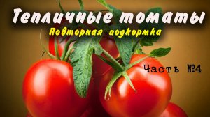 Тепличные томаты и огурцы. Часть №4. Подкормка завязью