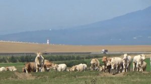 Countryside Civilization: Poprad, Slovakia.