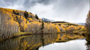 ГДЕ КАК И НА ЧТО ЛОВИТЬ СОМА ОСЕНЬЮ