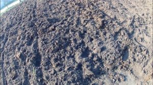 Запашка навоза фрезами ,  #мотоблок #Кентавр