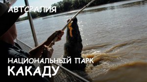 Мир Приключений Архив - Прыжки гребнистого крокодила. Водопад Джим Джим. Нац. парк Какаду. Австралия