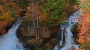 Последний бал осенних листьев. (После бала. Дмитрий Маликов)