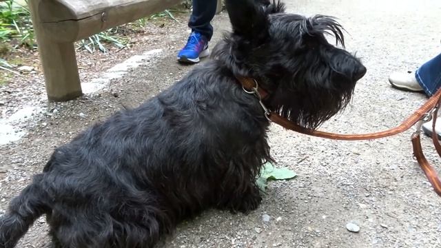 Tierpark Hellabrunn смотреть онлайн