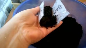 АМПЕЛЬНАЯ ЛОБЕЛИЯ - сеем семена на рассаду.