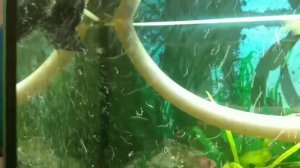 Aquael Circulator 1000. Самодельный внешний фильтр. Часть 2.