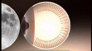 Мастер-класс "Театр Теней".