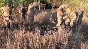 В ДНР сдались в плен 17 украинских военных