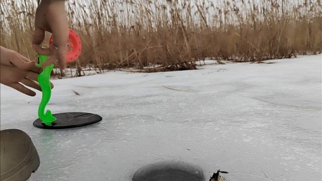 Сосновый бор Рыбалка на Щуку смотреть онлайн