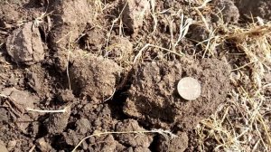 Золотая Орда в Донецкой области