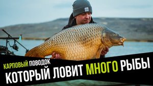 КАРПОВЫЙ ПОВОДОК, КОТОРЫЙ ЛОВИТ МНОГО РЫБЫ! СЕКРЕТЫ ОТ ЧЕМПИОНА РОССИИ ПО КАРПФИШИНГУ