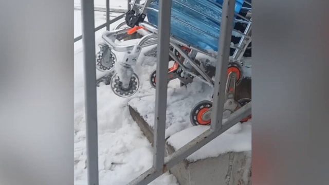 ЗИМА. Сумка-ТЕЛЕЖКА AsbjornFood смотреть онлайн