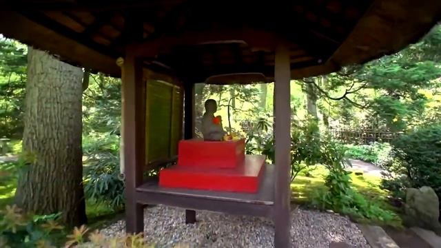 How to operate Sony NEX-FS100 on a Glidecam HD-2000 смотреть онлайн