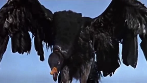 ПОЛЁТ КОНДОРА! Видео: Золото Маккены; Музыка: James Last - Kondor's Fly