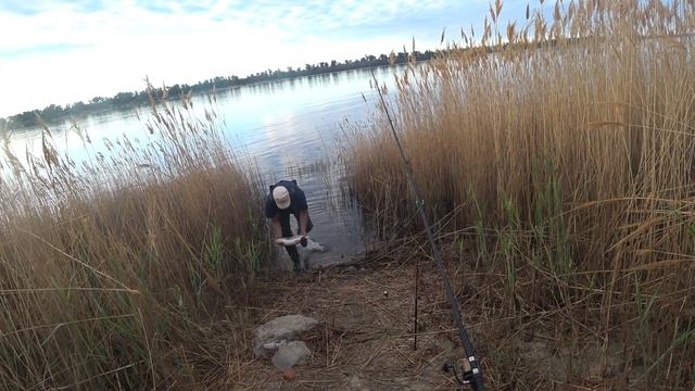 ЛОВЛЯ БЕЛОГО ХИЩНИКА РЫБАЛКА НА ВОЛГЕ РЫБАЛКА НА ЗАКИДУШКИ РЫБАЛКА ВЕСНОЙ РЫБАЛКА 2021 ЯЗЬ ГОЛАВЛЬ смотреть онлайн