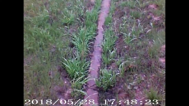 Металлокоп с аномальной зоны. смотреть онлайн