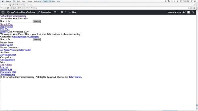 WordPress Tutorial. Theme Development: Intro And Installing The Blankslate Boilerplate